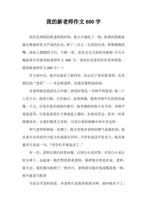 我的新老师作文600字