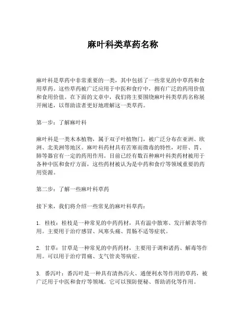 麻叶科类草药名称