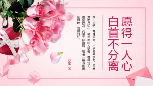 玫瑰花背景的七夕情人节PPT模板2套