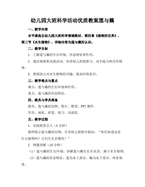 幼儿园大班科学活动优质教案莲与藕