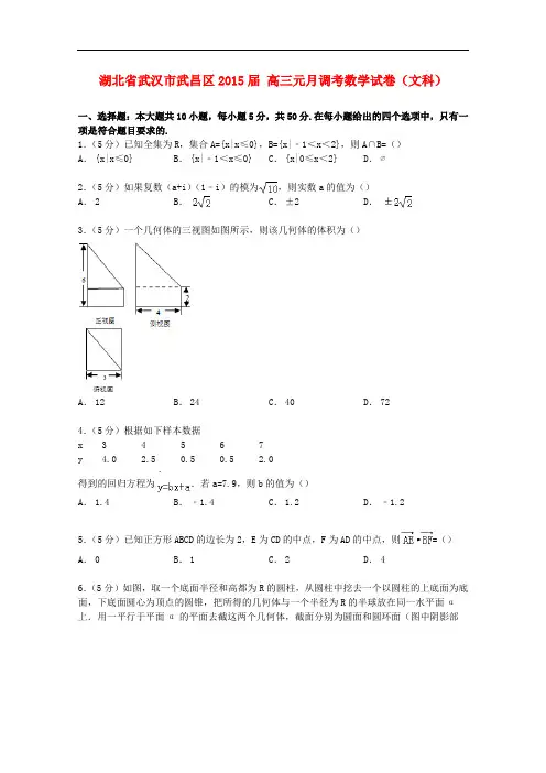 湖北省武汉市武昌区高三数学元月调考试卷 文(含解析)
