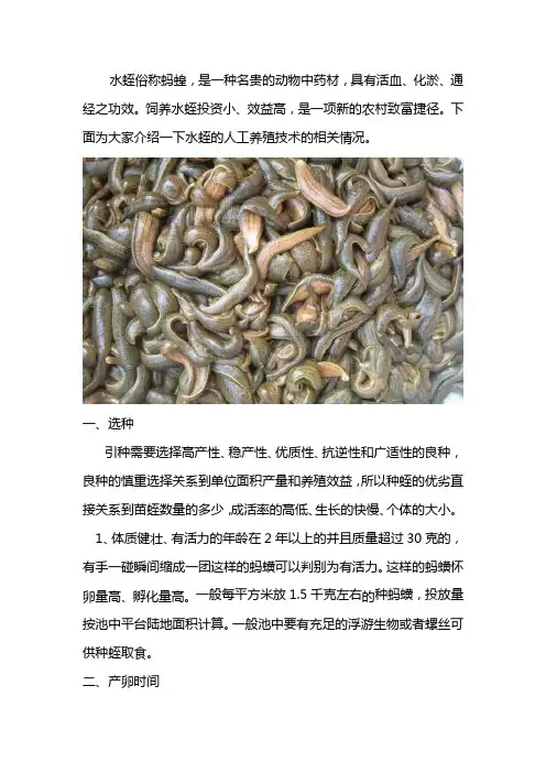 水蛭高效养殖技术