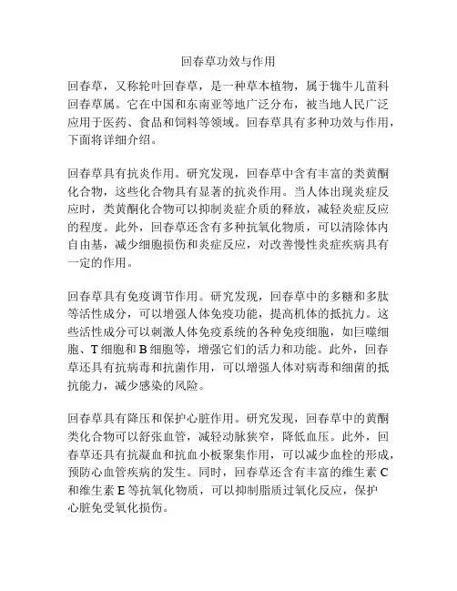 回春草功效与作用