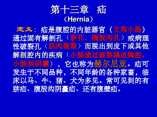 第十三章  疝