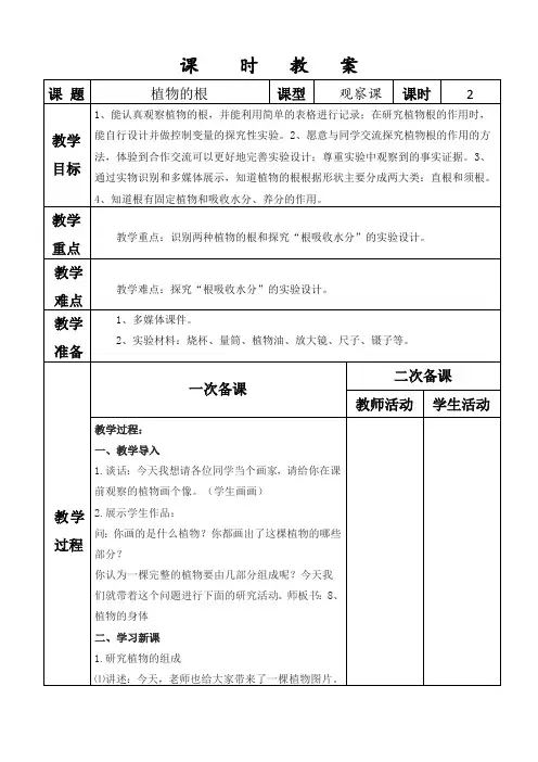 《植物的根》