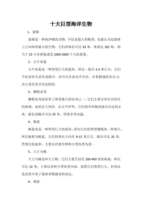 十大巨型海洋生物