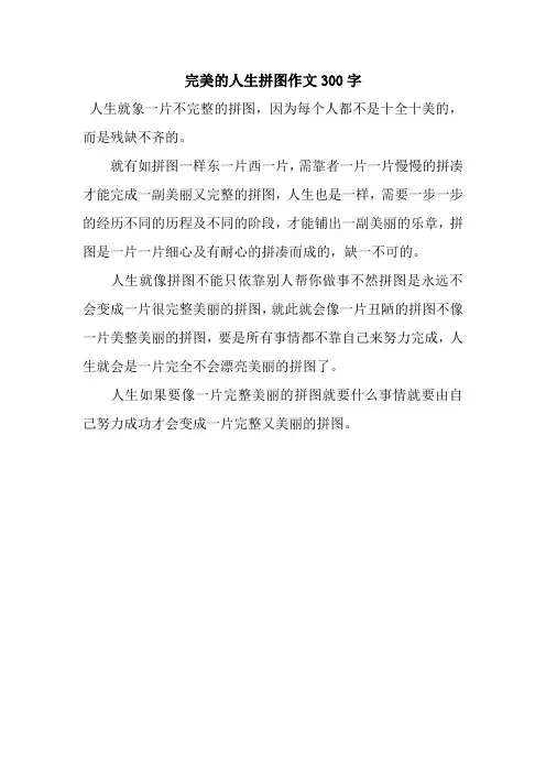 完美的人生拼图作文300字