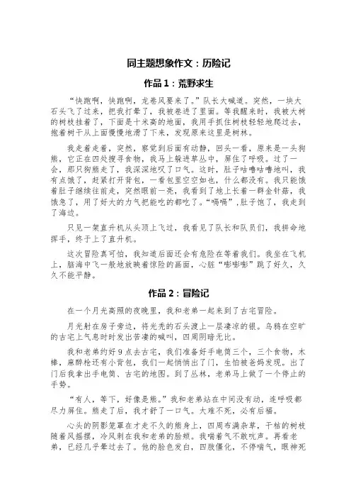 同主题想象作文：历险记(七篇)