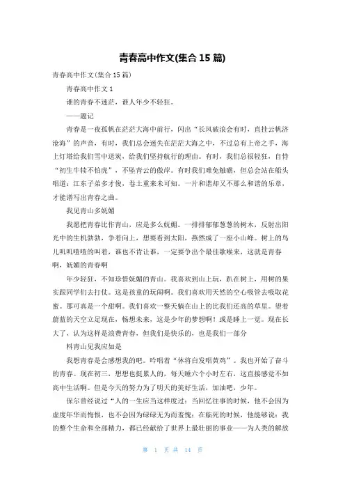 青春高中作文(集合15篇)