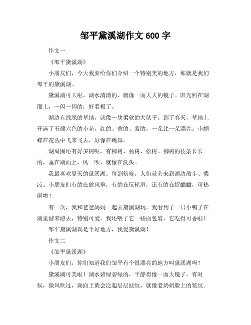 邹平黛溪湖作文600字