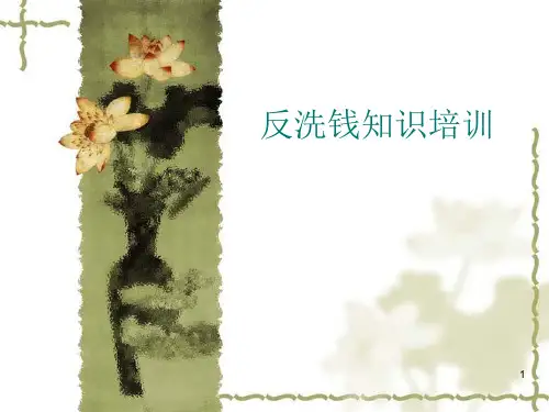 反洗钱培训ppt课件