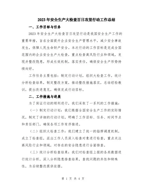 2023年安全生产大检查百日攻坚行动工作总结