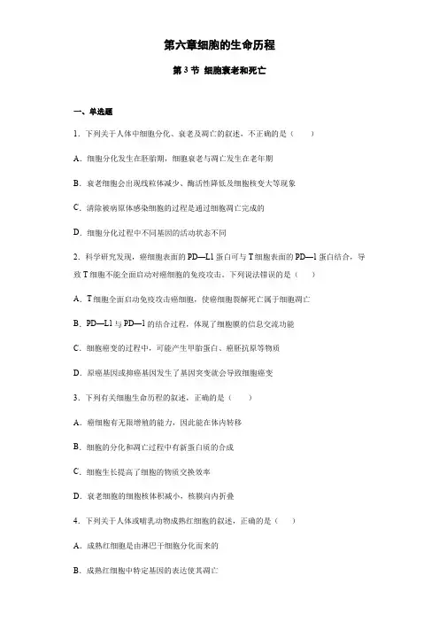 高中生物第一册 6 3 细胞的衰老和死亡 练习