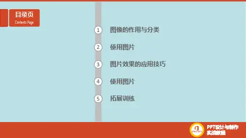 PPT设计与制作第7章-PPT图表