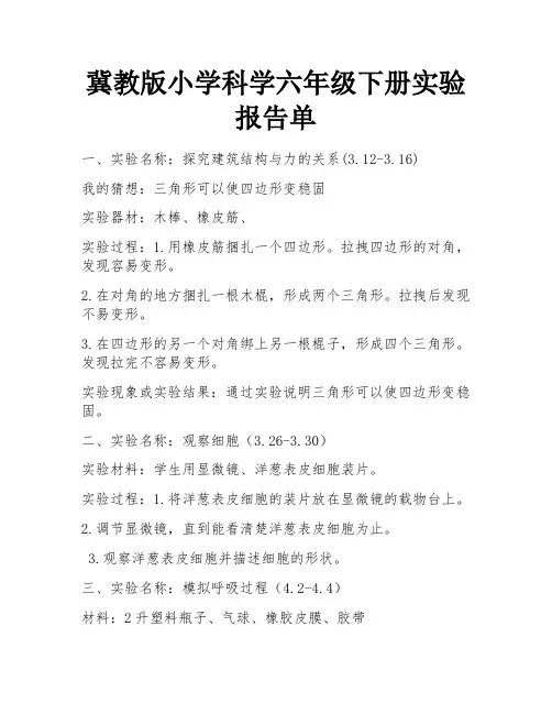 冀教版小学科学六年级下册实验报告单