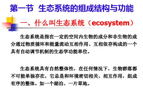 生态系统概述ppt课件