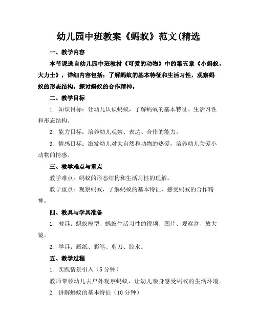 幼儿园中班教案《蚂蚁》范文(精选