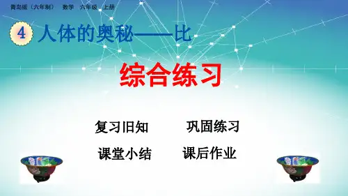 青岛版六年制小学六年级数学上册4
