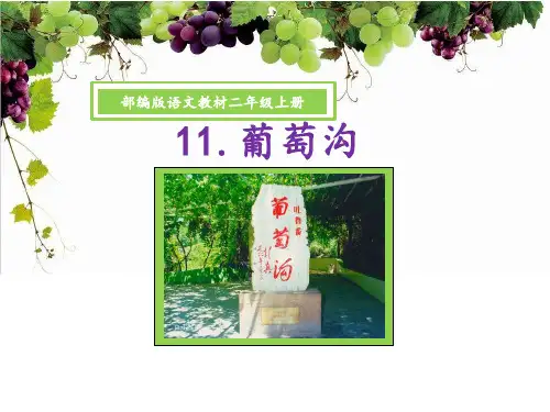 葡萄沟课件(共23张PPT)
