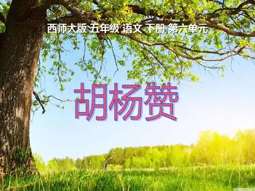 西师大版五年级语文下册《胡杨赞》PPT课件(4篇)