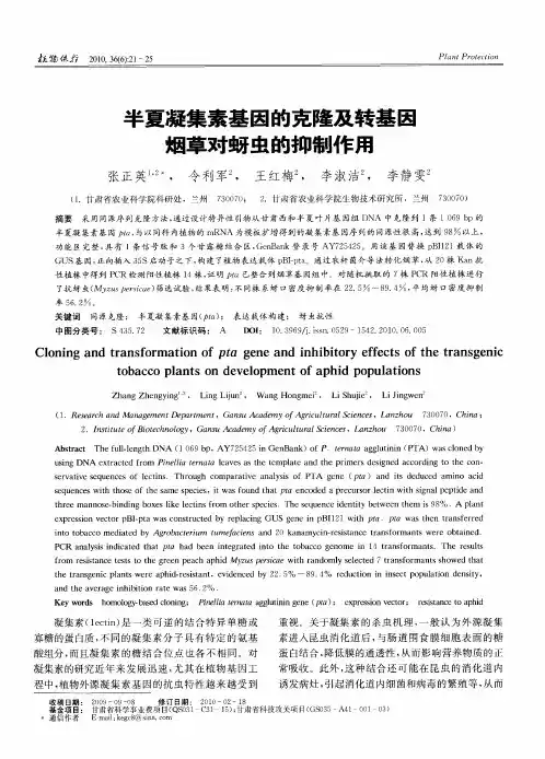 半夏凝集素基因的克隆及转基因烟草对蚜虫的抑制作用