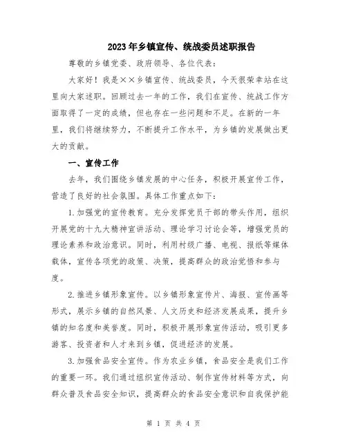 2023年乡镇宣传、统战委员述职报告