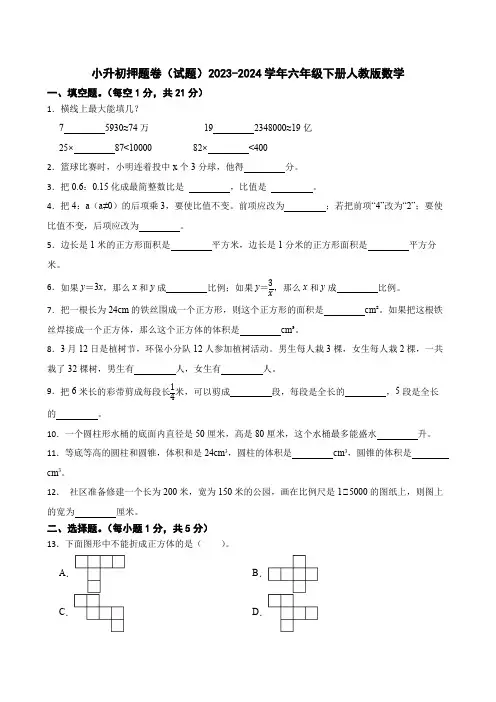 小升初押题卷(试题)2023-2024学年六年级下册数学人教版 