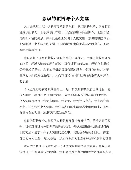 意识的领悟与个人觉醒
