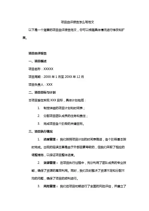 项目自评报告怎么写范文