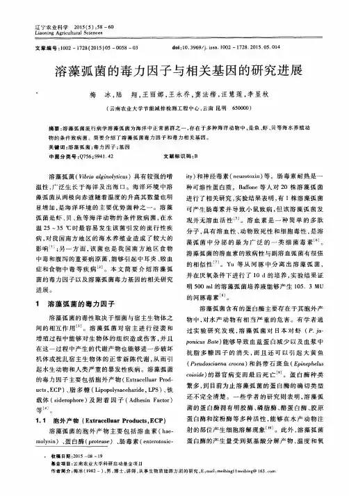 溶藻弧菌的毒力因子与相关基因的研究进展
