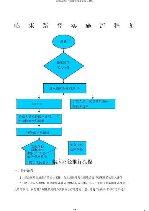临床路径实施流程纲要及流程纲要图
