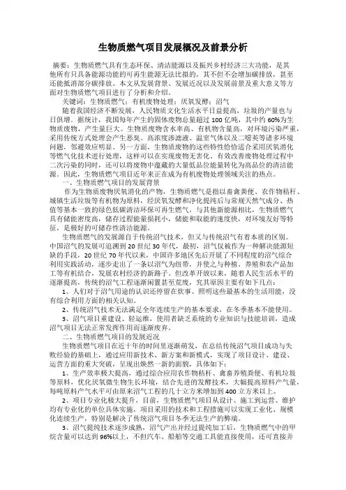 生物质燃气项目发展概况及前景分析