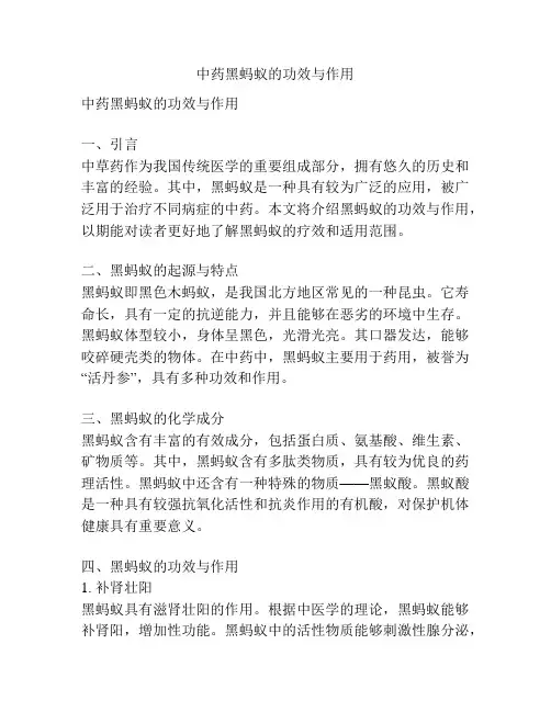 中药黑蚂蚁的功效与作用