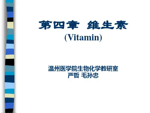 生物化学04第四章 维生素