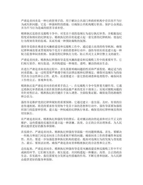严肃追责问责精准执纪强传导