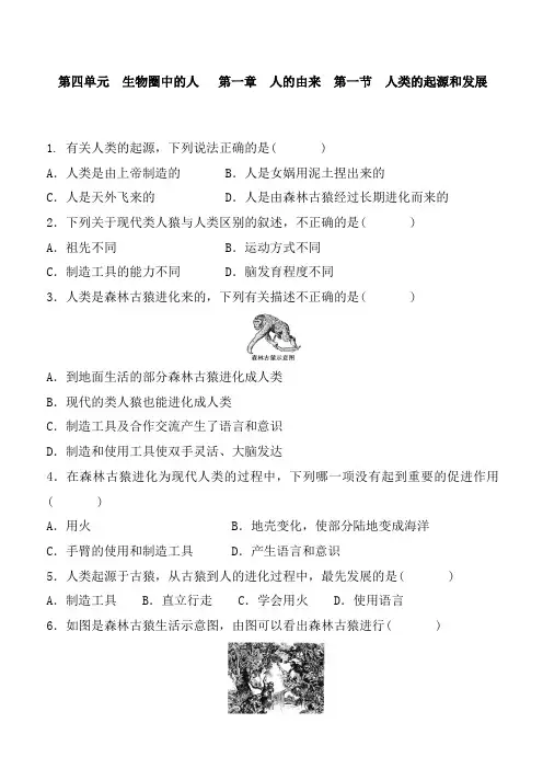 人教版生物七年级下册 第四单元 生物圈中的人   第一章 人的由来  第一节 人类的起源和发展