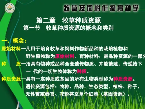 牧草种质资源