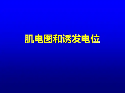 5-肌电图和诱发电位--赵文为资料