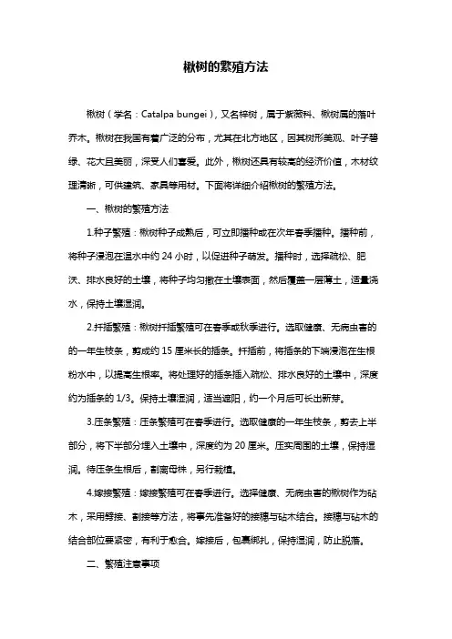 楸树的繁殖方法