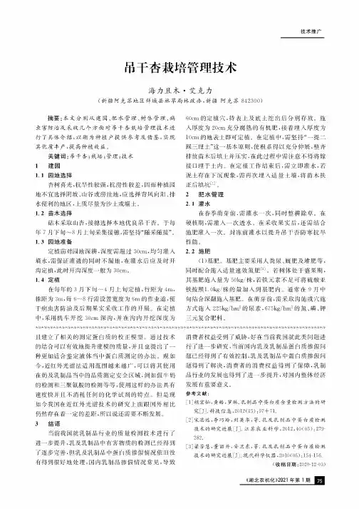 吊干杏栽培管理技术