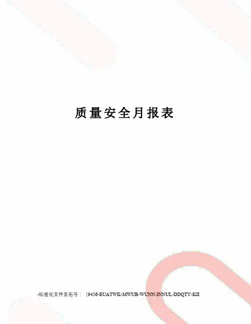 质量安全月报表