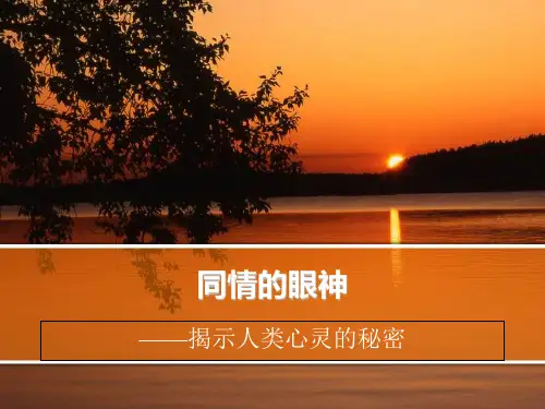 六下作文优秀课件同情的眼神 作文训练部编版