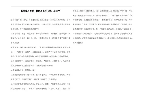 高二写人作文：我的小伙伴(二)_800字