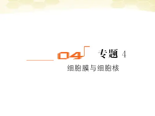 金版教程高三生物一轮复习细胞的基本结构课件新人教版必修1