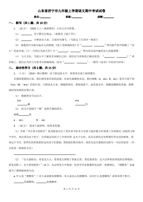 山东省济宁市九年级上学期语文期中考试试卷