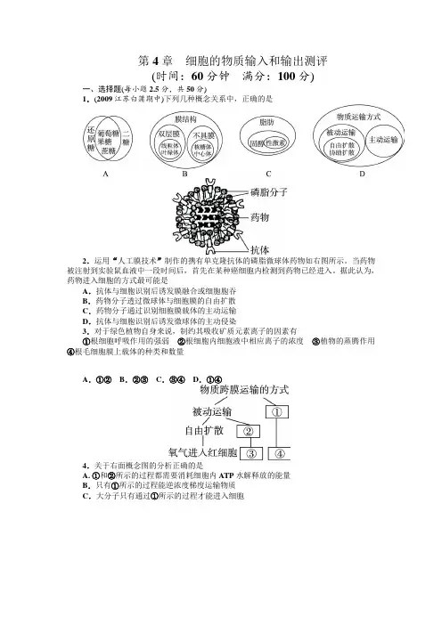 人教课标版高中生物必修1第4章《细胞的物质输入和输出》综合测评(附答案)