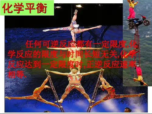 化学平衡