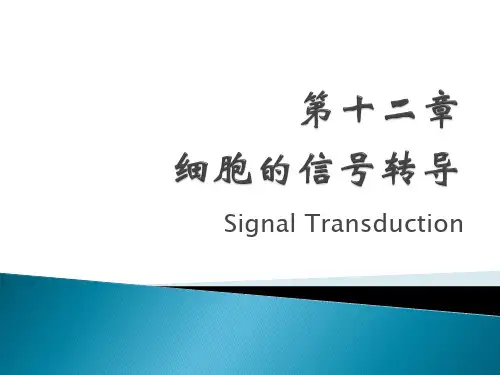 细胞信号转导(1)