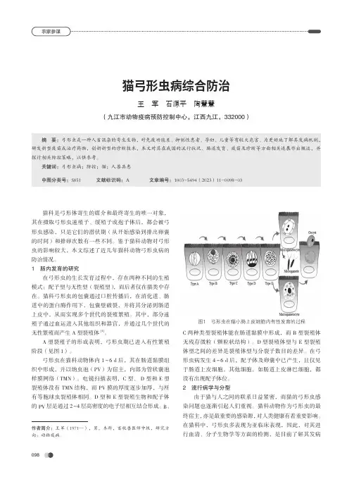 猫弓形虫病综合防治