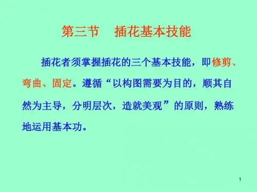 插画艺术概论3.3